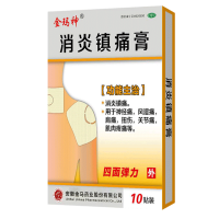 消炎镇痛膏（控销精品）